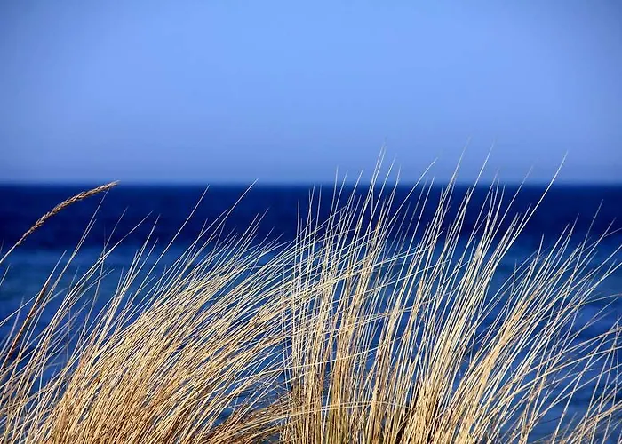 Og Sables-d Olonne Admirals 호텔