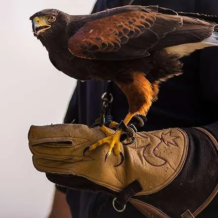 Hotel Og Sables-d Olonne Admirals *