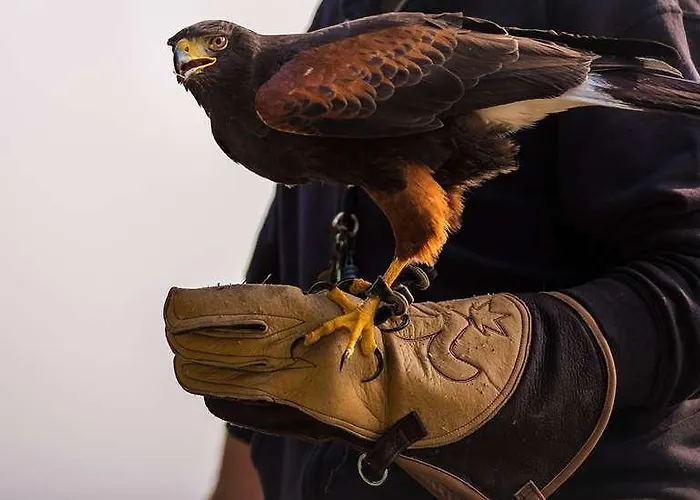Hotel Og Sables-d Olonne Admirals *